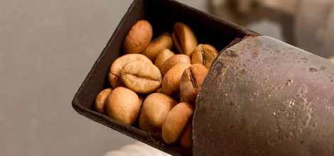 Pražen&aacute; zrna &ndash; tmav&scaron;&iacute; pražen&iacute; znamen&aacute; m&eacute;ně kofeinu