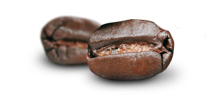 Káva Arabica