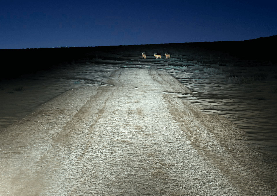 Ultinon Pro5100 Comparison