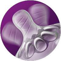 spir&aacute;lov&aacute; konstrukce dudl&iacute;ku natural