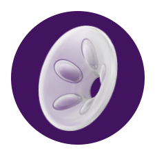 Ods&aacute;vačka Philips Avent s&nbsp;polstrov&aacute;n&iacute;m pro jemnou mas&aacute;ž