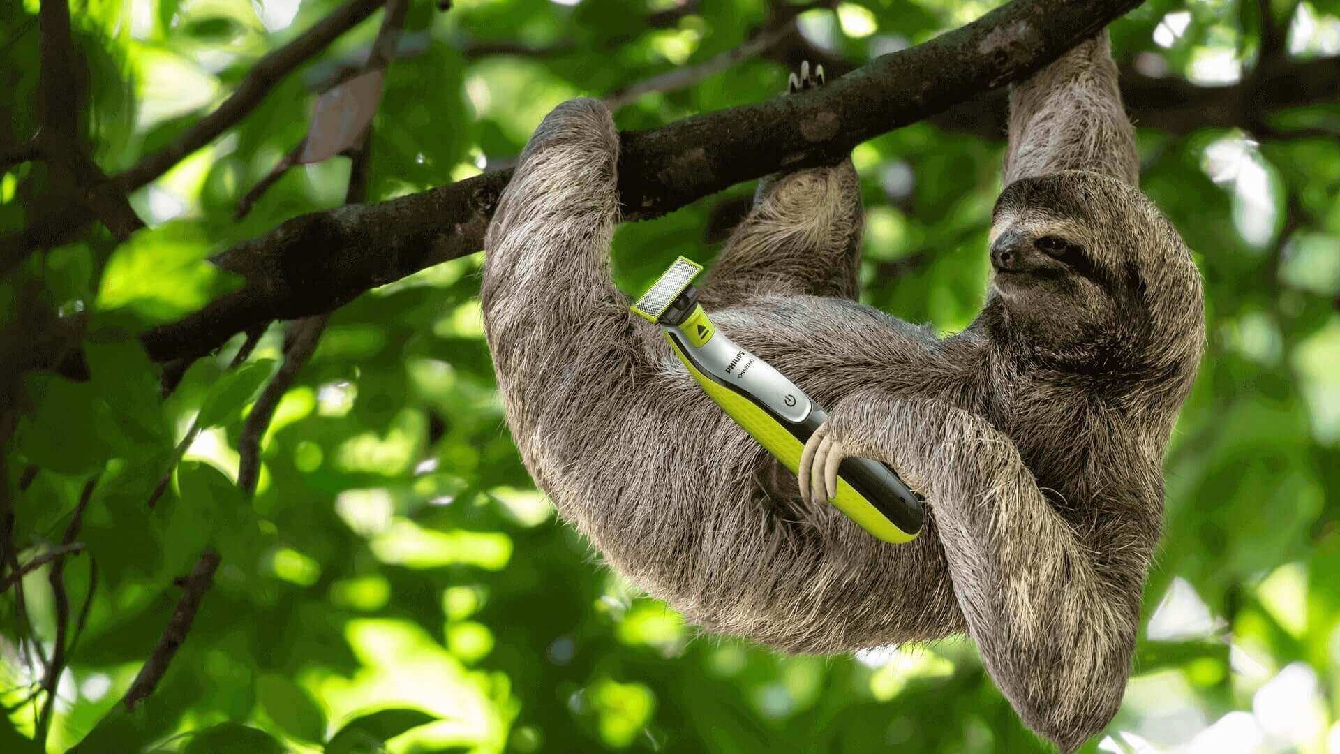 sloth with oneblade