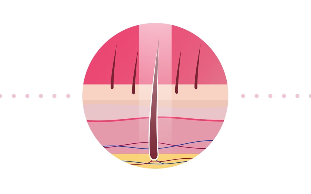 V&yacute;voj technolgie