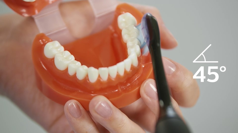 Či&scaron;těn&iacute; d&aacute;sn&iacute;