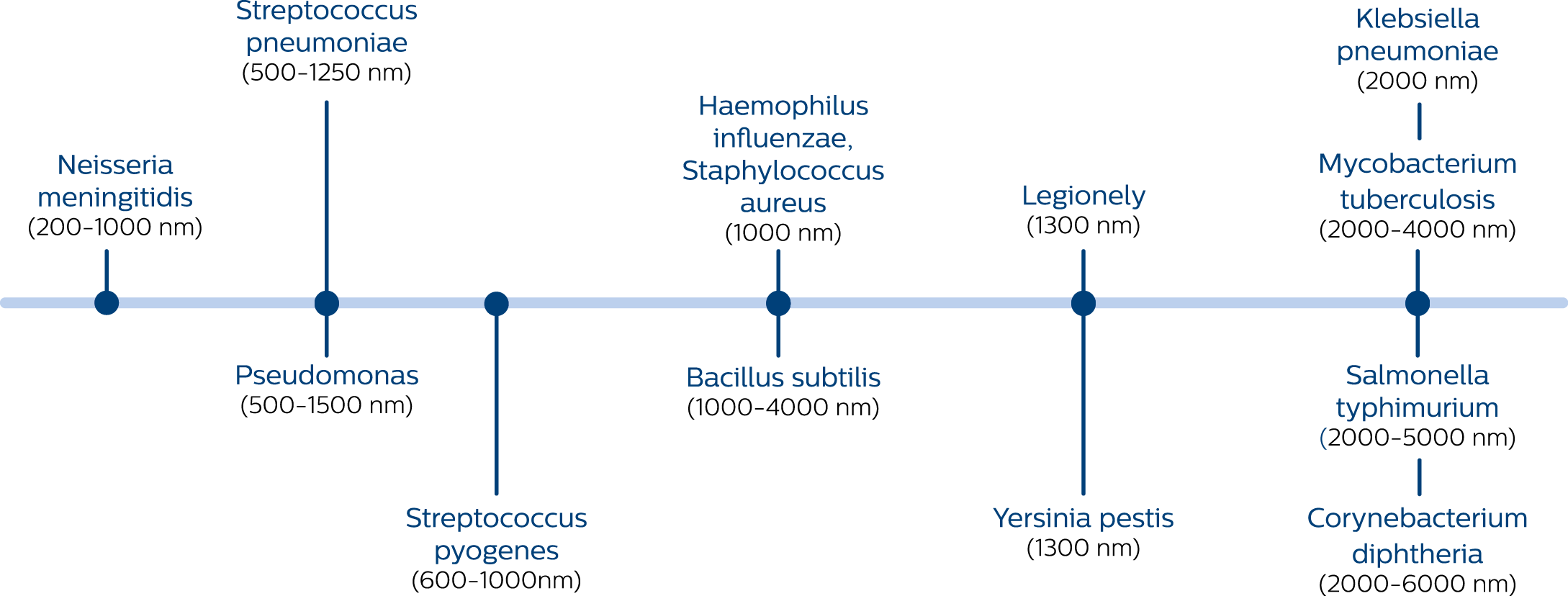 N&aacute;vod jak čistit zuby