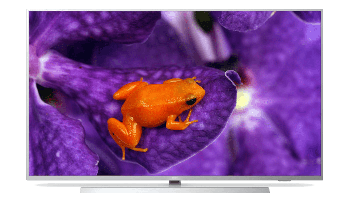 Profesion&aacute;ln&iacute; televizor&nbsp;&ndash; software pro syst&eacute;m Android